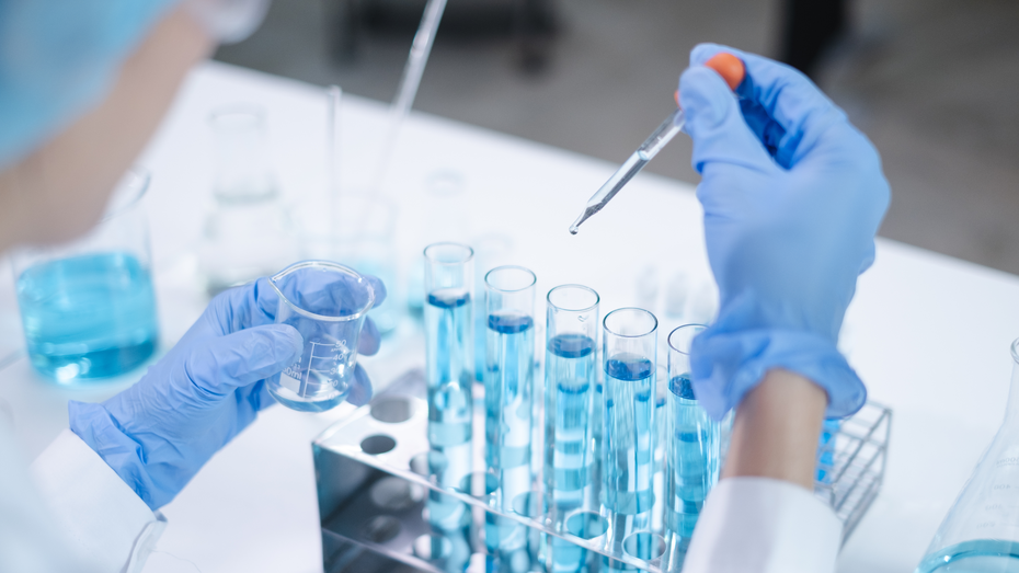 En laboratoriearbejder iført handsker og en hårdæmpning hælder væske fra en målekolbe til en række prøveglas med blå væske. Vedkommende bruger en pipette til at tilføje præcise mængder væske.